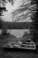 DSCF7437