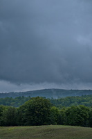 DSCF7635 03