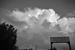 DSCF7706