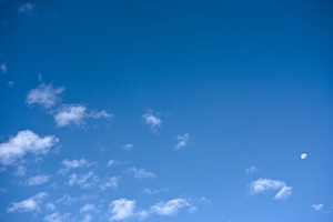 DSCF7736 01