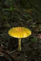 DSCF8093 01