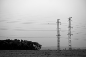 DSCF8251 01