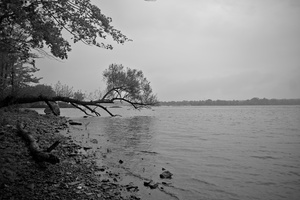 DSCF8341 01