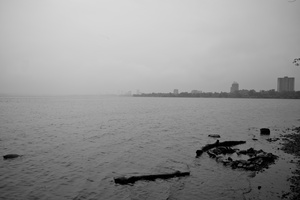 DSCF8348 01
