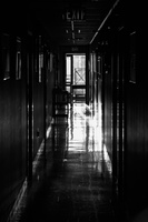 DSCF8474