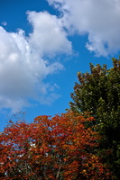 DSCF8506 01