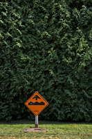 DSCF8531 03