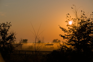 DSCF8557 01