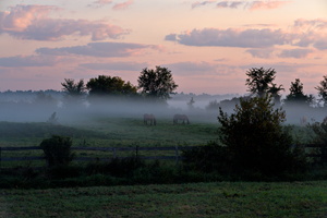 DSCF8570 01