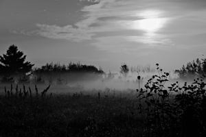 DSCF8575