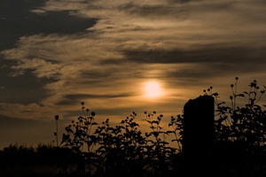 DSCF8598 01