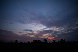 DSCF8626