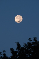 DSCF8637 01