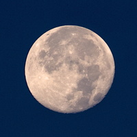 DSCF8639