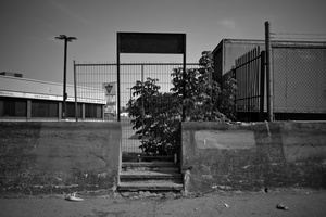 DSCF8772