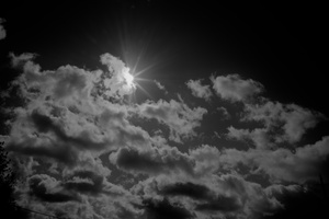 DSCF8880 01