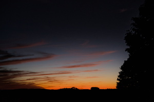 DSCF8942 01
