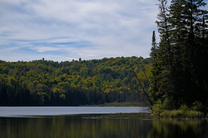 DSCF8992