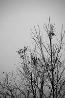 DSCF9001 01