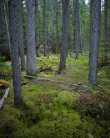 DSCF9022 01