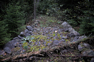 DSCF9059 01