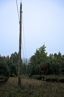 DSCF9067