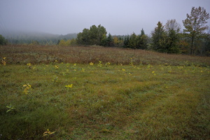 DSCF9070 01