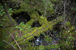 DSCF9054 01