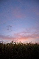 DSCF9496 01