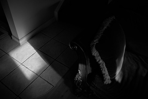 DSCF9587