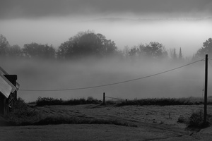 DSCF9704