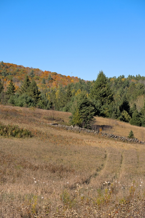DSCF9807_01.jpg