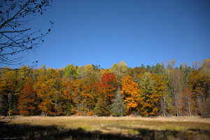 DSCF9741 01