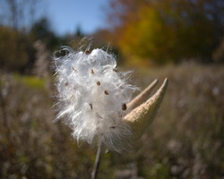 DSCF9926 01