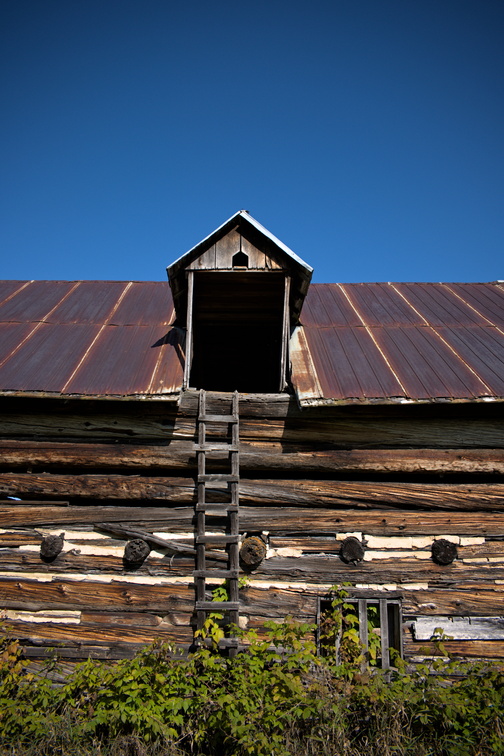DSCF9949.jpg