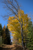 DSCF9944