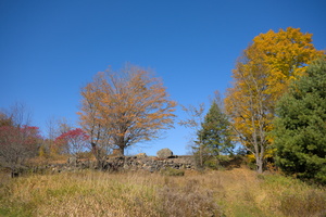 DSCF9948