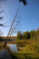 DSCF9938