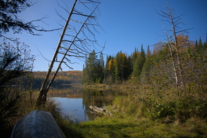 DSCF9940