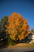 DSCF0007 02