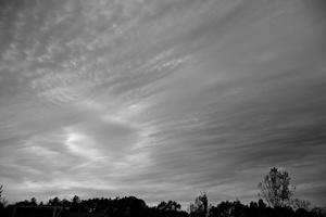 DSCF0022 01