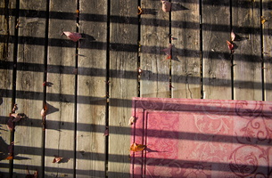 DSCF0063 01