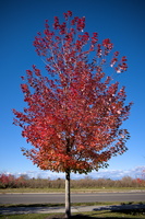 DSCF0071 01