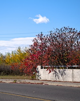 DSCF0077