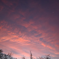 DSCF0181