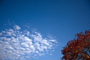 DSCF0204 01