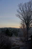 DSCF0254 01