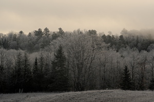 DSCF0271 01