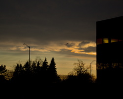 DSCF0345 01