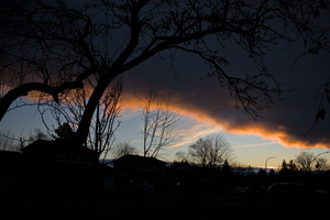 DSCF0397